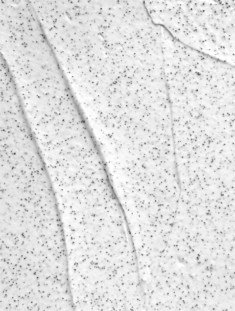 Icelandic Volcano Face & Body Scrub: What It Does, How to Use It, and Why It Works