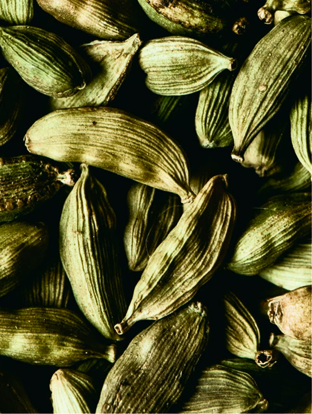 Silk Skin Hand Cream, Spices & Sandalwood