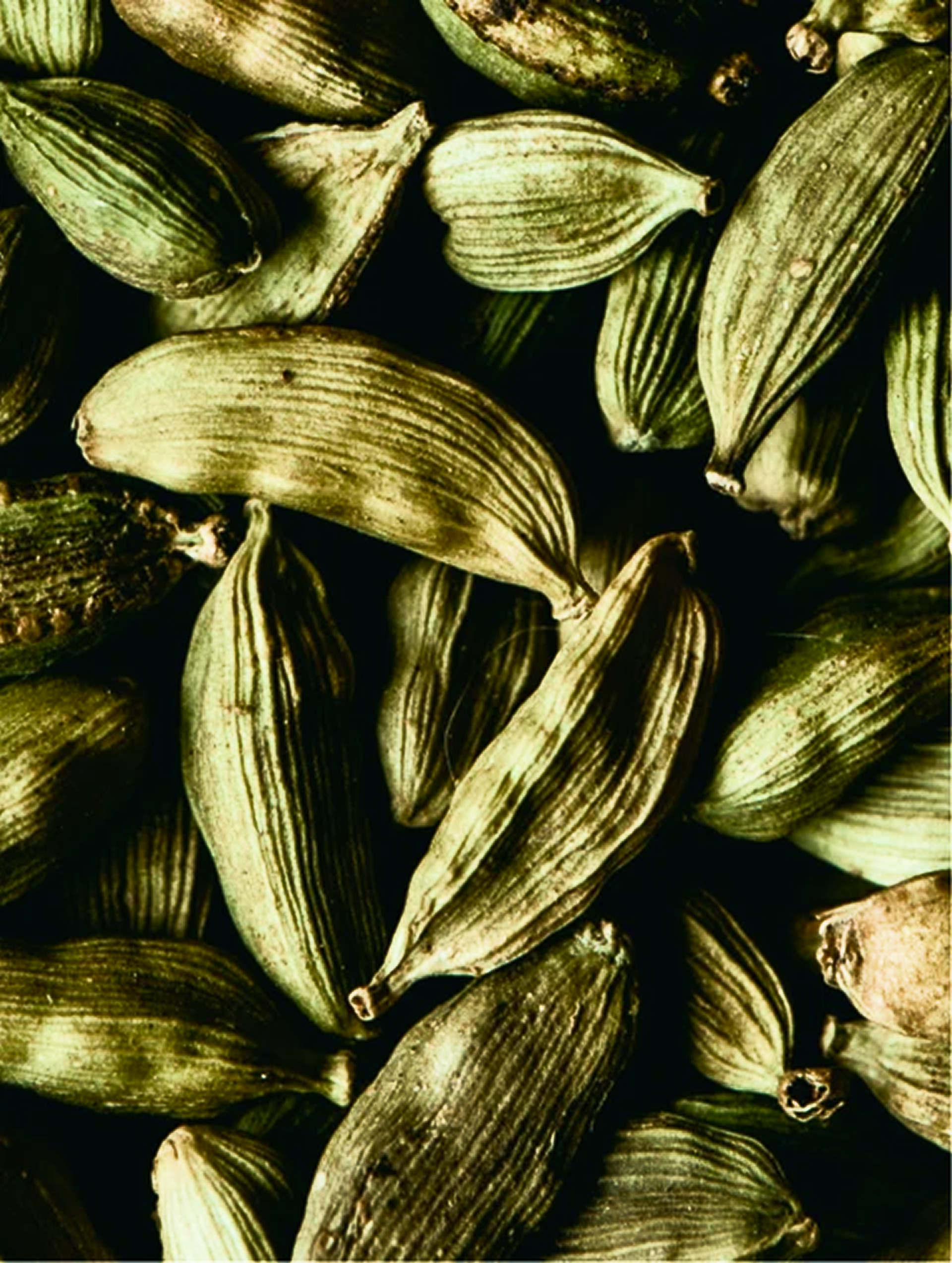 Silk Skin Hand Cream, Spices & Sandalwood